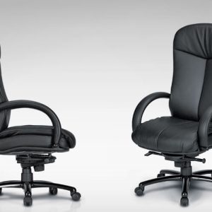 Luxdezine Black Leather 2 Extra Cushion Executive Chair