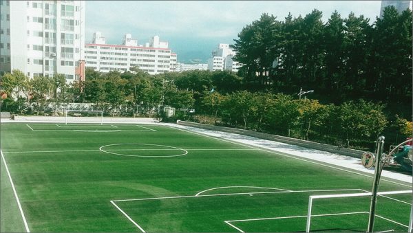 Luxdezine Turf Football Jeju